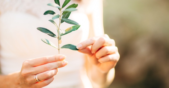 Calm Vibes IV Infusion